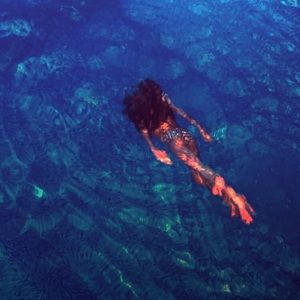 Meet your Posher, Audrey